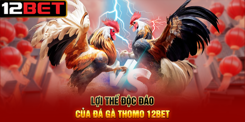 Đá Gà Thomo 12BET – Đặt Cược Nhanh, Rút Thưởng Dễ Dàng 3 Lợi Thế Độc Đáo Của Đá Gà Thomo 12BET
