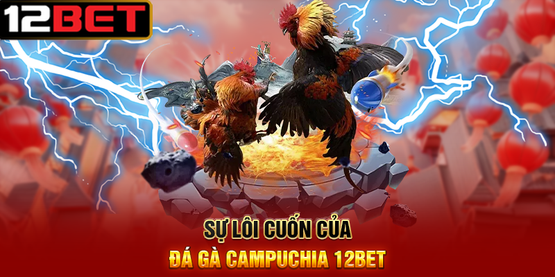 Đá Gà Campuchia 12BET – Trận Đấu Hấp Dẫn, Thách Thức Mọi Cao Thủ 2 Sự Lôi Cuốn Của Đá Gà Campuchia 12BET