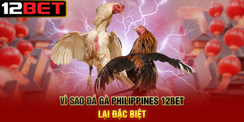 Đá Gà Philippines 12BET Sân Chơi Cá Cược Đá Gà Quốc Tế Đầy Kịch Tính 2 Vì Sao Đá Gà Philippines 12BET Lại Đặc Biệt