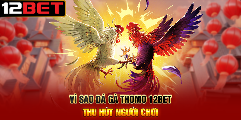 Đá Gà Thomo 12BET – Đặt Cược Nhanh, Rút Thưởng Dễ Dàng 2 Vì Sao Đá Gà Thomo 12BET Thu Hút Người Chơi